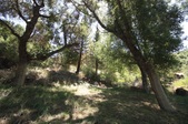 Enlarge photo 33