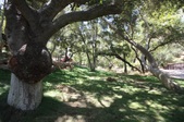 Enlarge photo 39