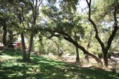 Enlarge photo 40