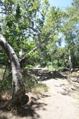 Enlarge photo 37