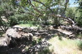 Enlarge photo 38