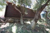 Enlarge photo 51