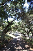Enlarge photo 57