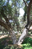 Enlarge photo 73