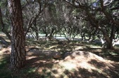 Enlarge photo 72