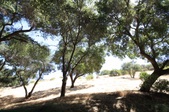 Enlarge photo 69