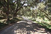 Enlarge photo 71
