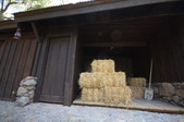 Enlarge photo 87