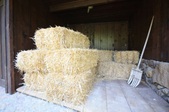 Enlarge photo 89
