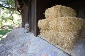 Enlarge photo 88