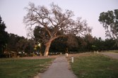Enlarge photo 49