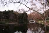 Enlarge photo 50