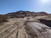 Enlarge photo 37