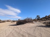 Enlarge photo 41