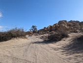 Enlarge photo 42