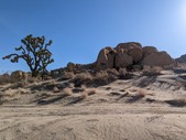 Enlarge photo 43