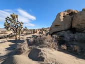 Enlarge photo 45