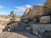 Enlarge photo 46