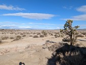 Enlarge photo 47