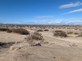 Enlarge photo 48