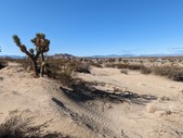 Enlarge photo 49