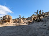 Enlarge photo 51