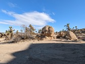 Enlarge photo 52