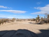 Enlarge photo 53