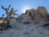 Enlarge photo 54