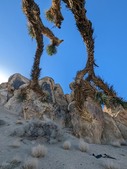 Enlarge photo 57