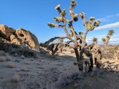 Enlarge photo 59