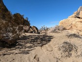 Enlarge photo 63