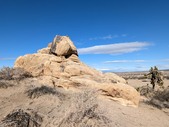 Enlarge photo 64