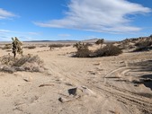 Enlarge photo 65