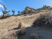 Enlarge photo 66