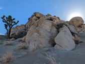 Enlarge photo 71