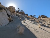 Enlarge photo 72