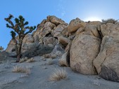 Enlarge photo 73