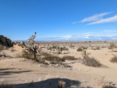 Enlarge photo 76