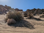 Enlarge photo 83