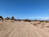Enlarge photo 85