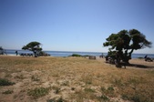 Enlarge photo 27