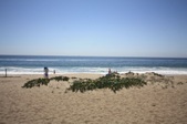 Enlarge photo 34