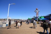Enlarge photo 47