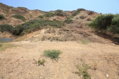 Enlarge photo 42
