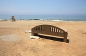 Enlarge photo 44