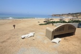 Enlarge photo 45