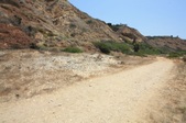 Enlarge photo 49