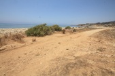 Enlarge photo 55