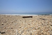 Enlarge photo 56